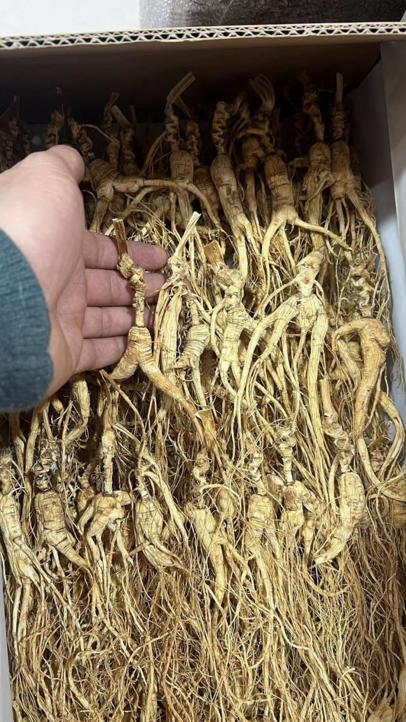 长白山高年头林下参吃货，售后无忧