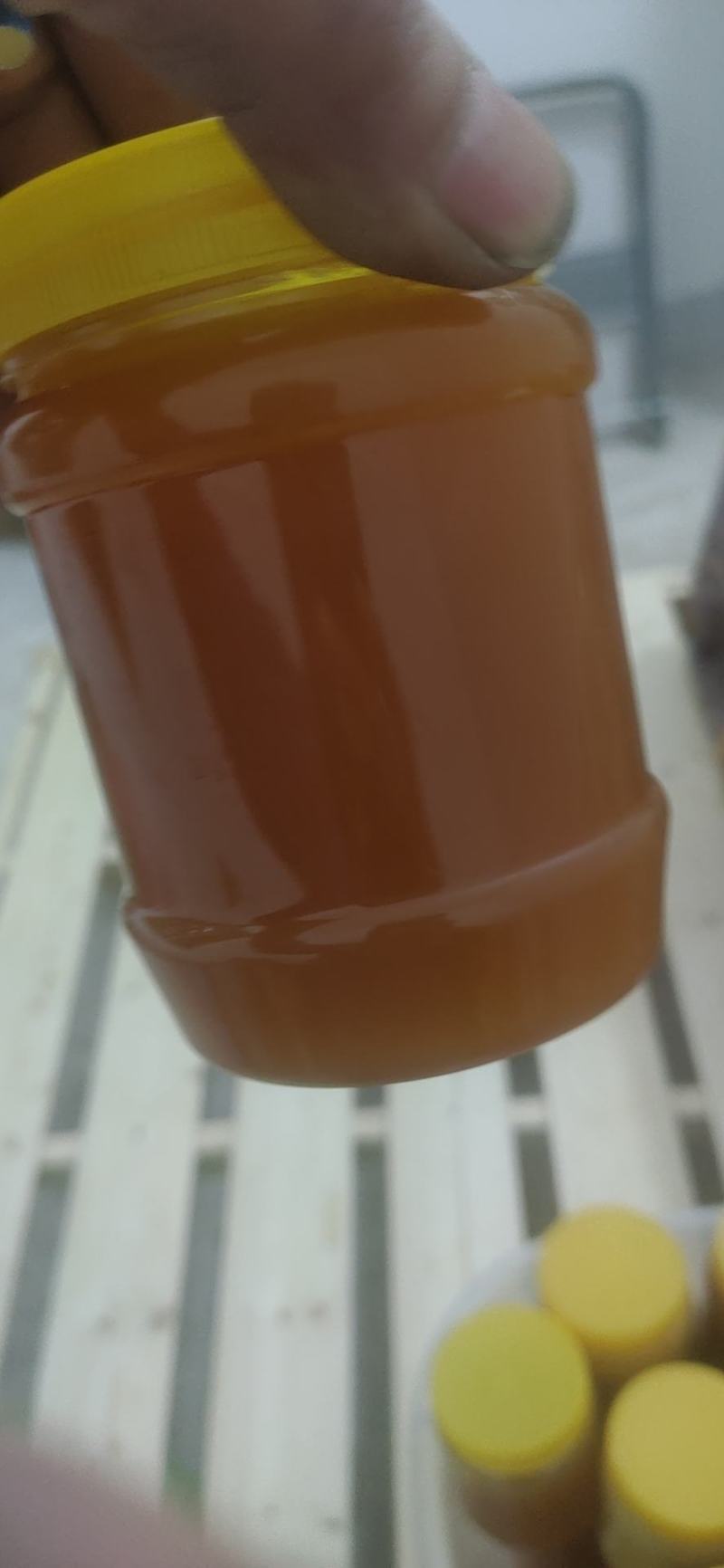 野生土蜂蜜一斤