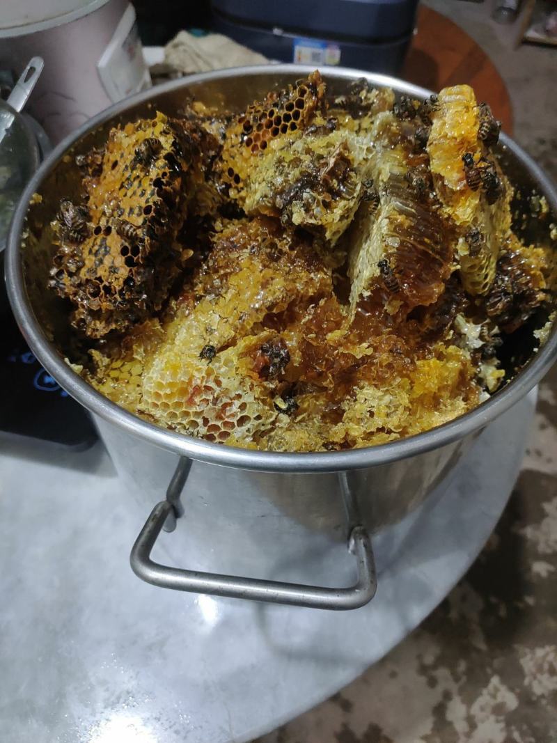 野生土蜂蜜一斤