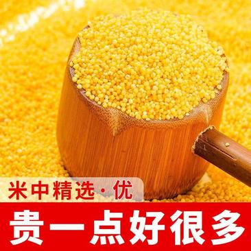 【产地直销】黄小米新米5斤山西农家小黄米