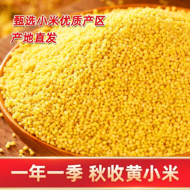 【产地直销】黄小米新米5斤山西农家小黄米