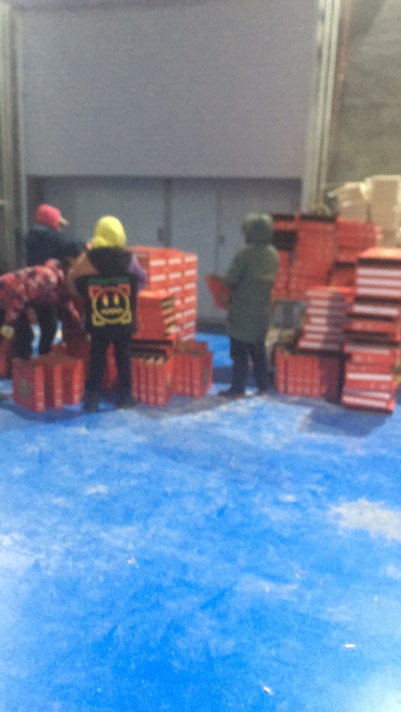 圆粒十斤快递包邮口感好长粒香稻花香新米上市