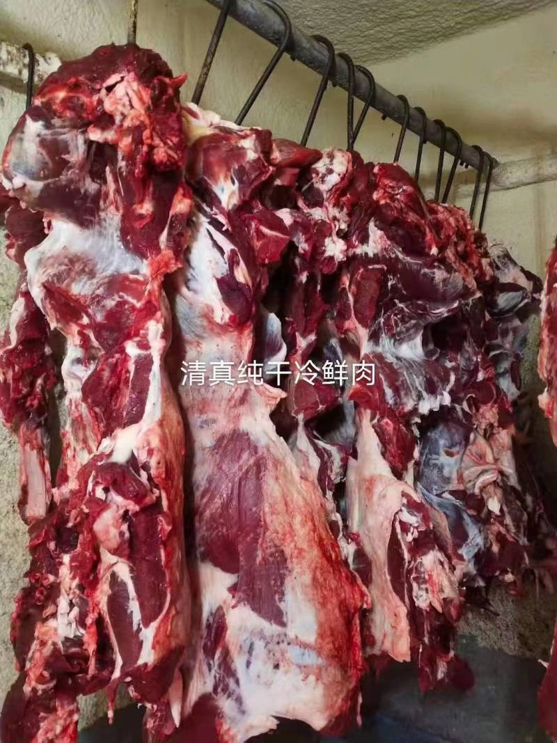 冷鲜牛肉！无注水纯干牛肉！