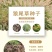 护坡草种子观赏狼尾草种子狗尾巴草种子猫尾巴草种子四季易种