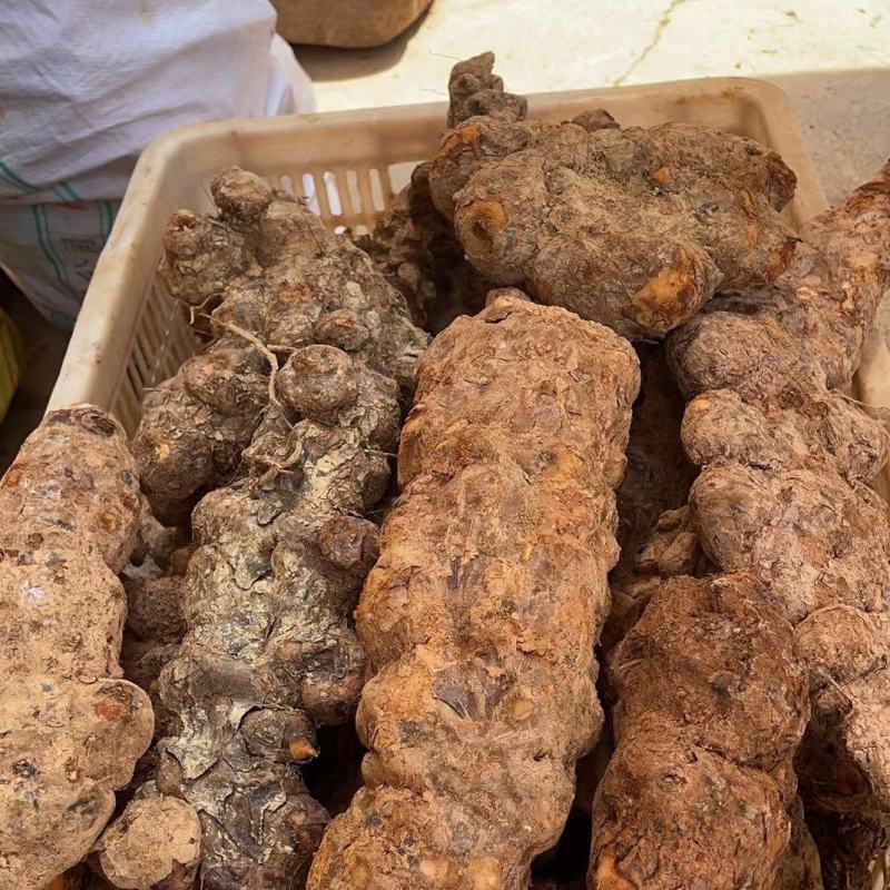 纯正天然野生白肉粉质清香煲汤清甜土茯苓实力高品质货源