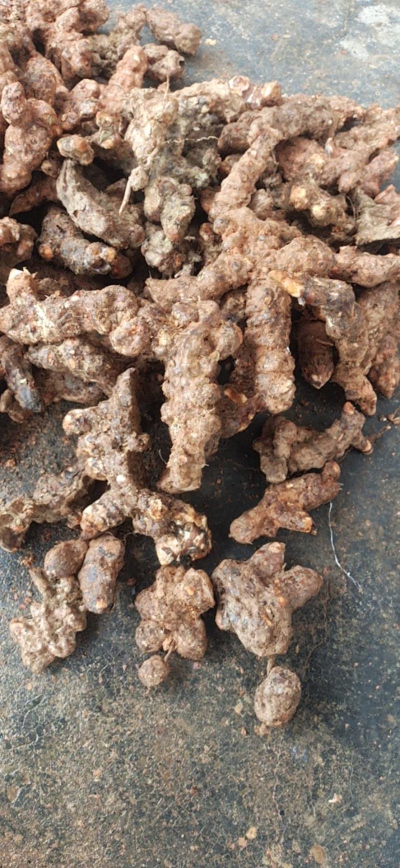 纯正天然野生白肉粉质清香煲汤清甜土茯苓实力高品质货源