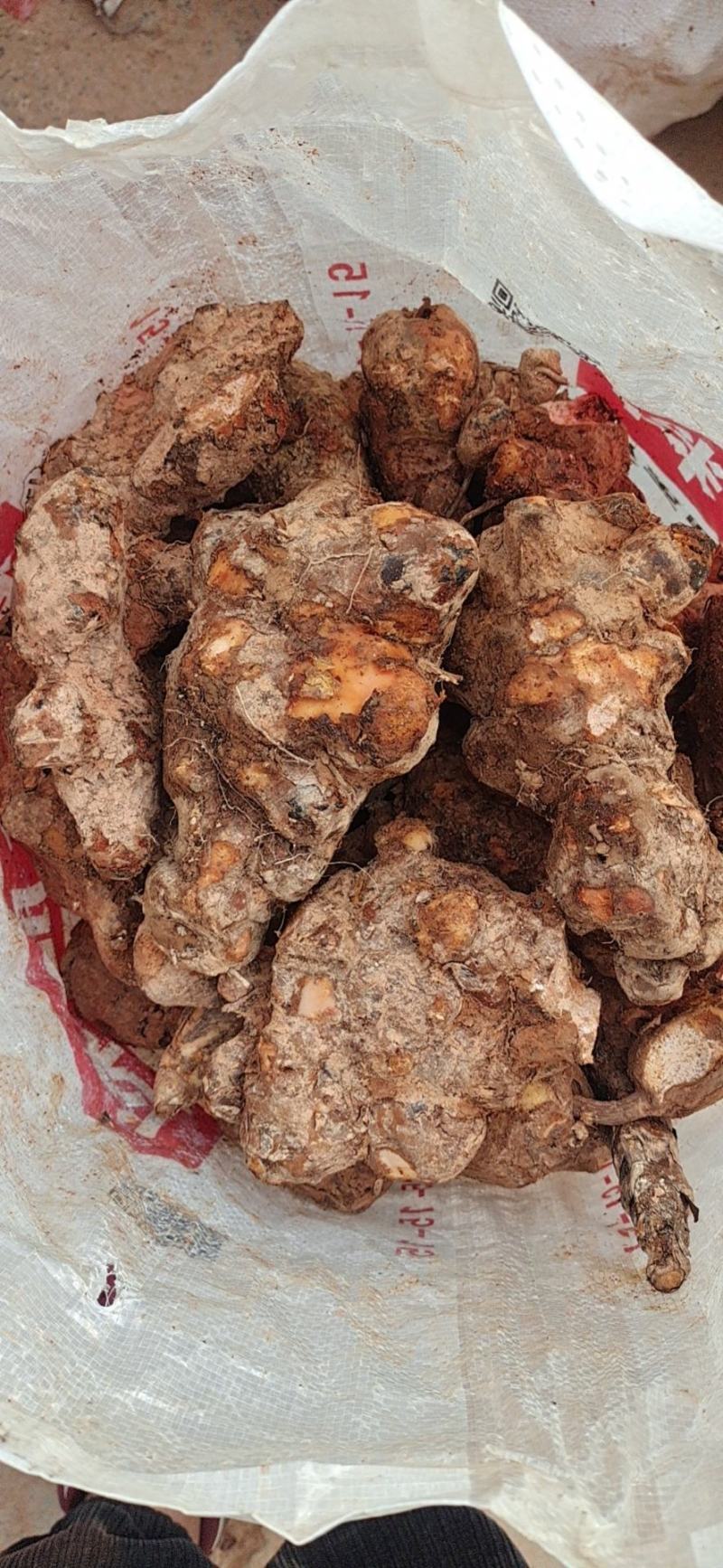 纯正天然野生白肉粉质清香煲汤清甜土茯苓实力高品质货源