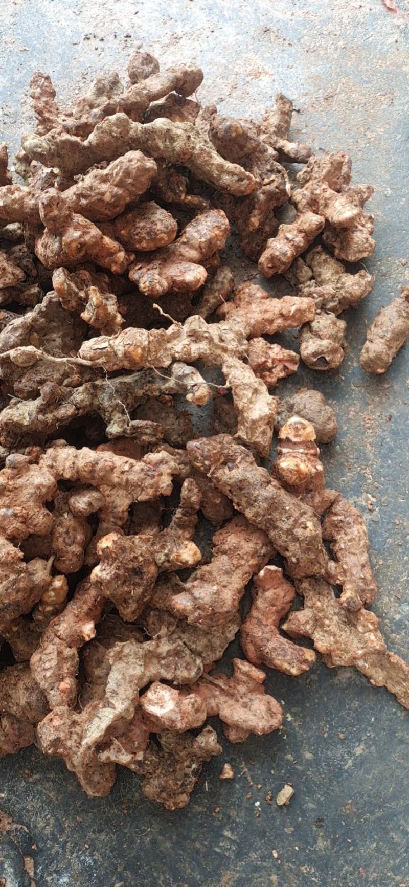 纯正天然野生白肉粉质清香煲汤清甜土茯苓实力高品质货源