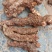 纯正天然野生白肉粉质清香煲汤清甜土茯苓实力高品质货源
