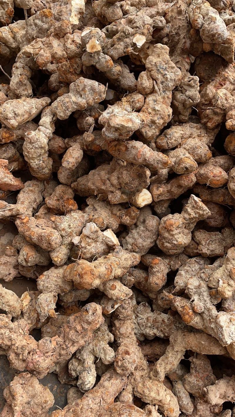 纯正天然野生白肉粉质清香煲汤清甜土茯苓实力高品质货源
