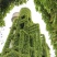 爬山虎种子四季常青爬藤植物耐寒三叶五叶红叶攀爬户外爬墙虎