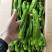 【精品】湖北省麻城市薄皮椒新鲜有货，实力代收，大量现货。