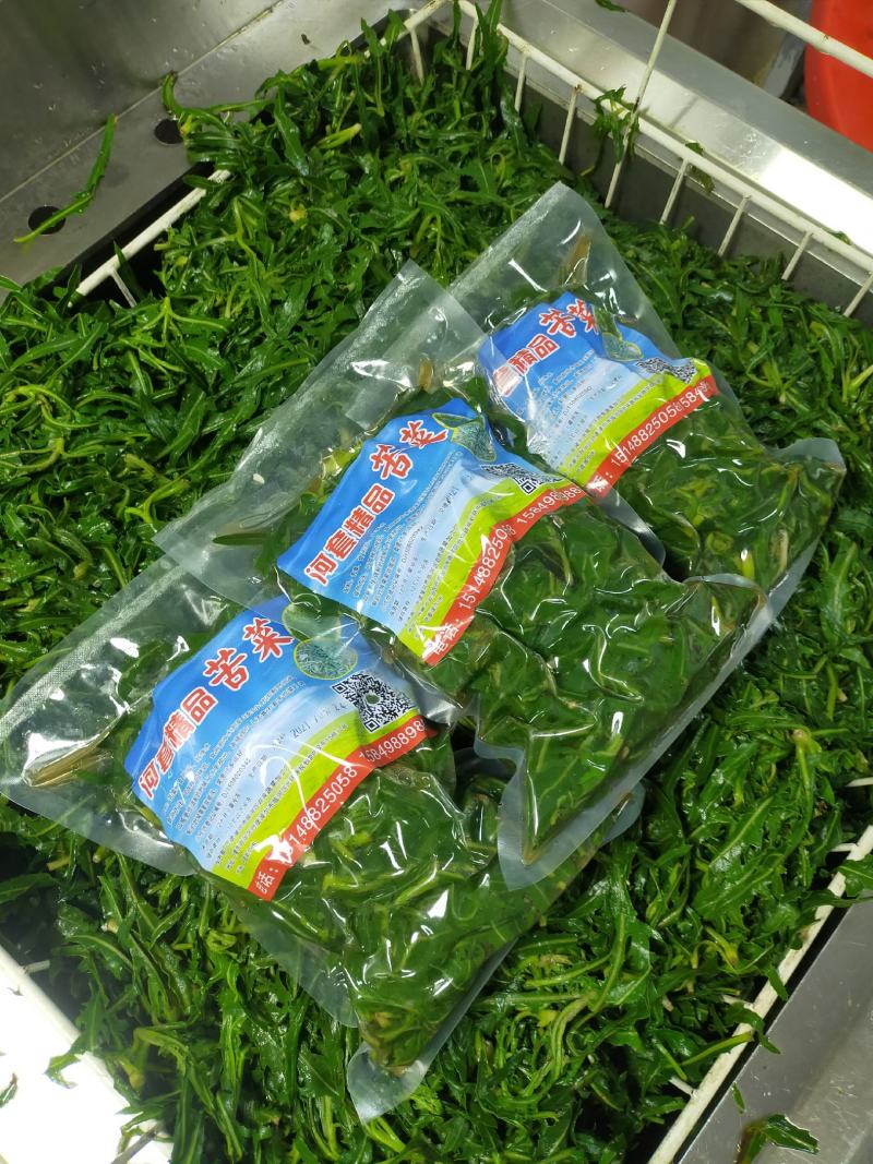 内蒙古.巴彦诺尔市河套精品苦菜，小苦菜