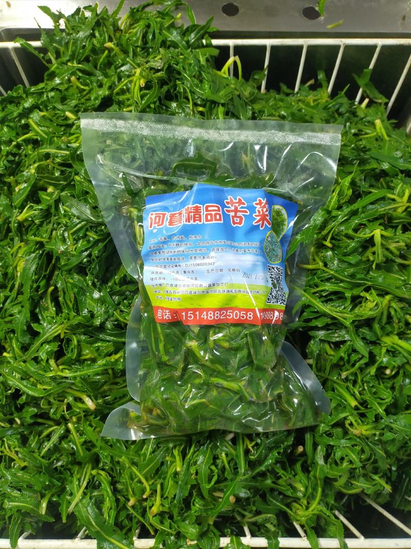 内蒙古.巴彦诺尔市河套精品苦菜，小苦菜