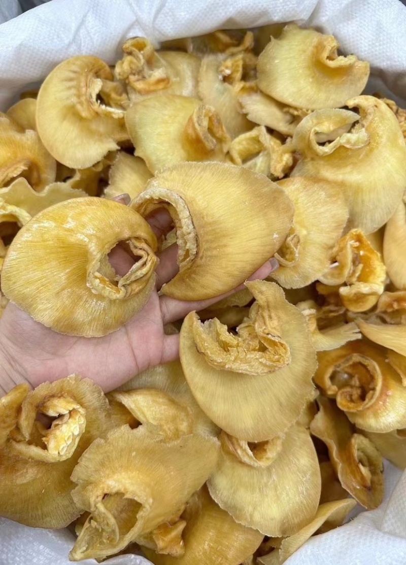 鱼翅鲍翅金勾翅牙拣翅牙勾翅胶质好翅针多酒店食材