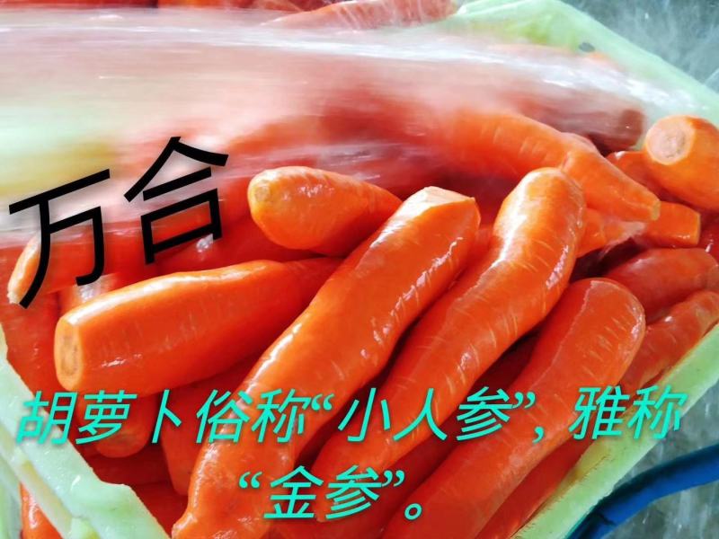 兰州胡萝卜果味饮料，畅销甘肃三十年品牌。全国各地批发