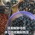 【全干淡口】广西特产乌榄角干黑榄角干乌橄榄干咸菜市场批发