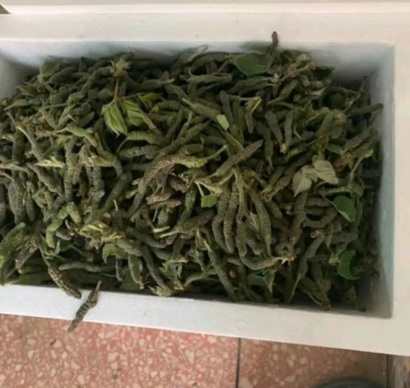 构穗，构棒槌，苟棒，