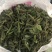 构穗，构棒，构棒槌，大量批发，每天现摘，欢迎各位老板订购