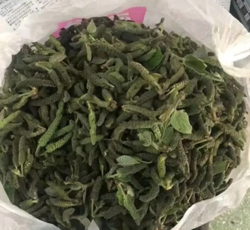 构穗，构棒，构棒槌，大量批发，每天现摘，欢迎各位老板订购