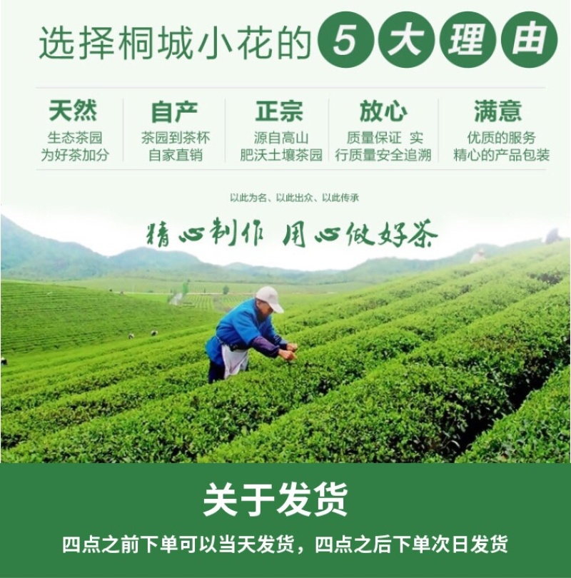 安徽桐城小花2023年新茶明前头茶高山嫩芽茶！
