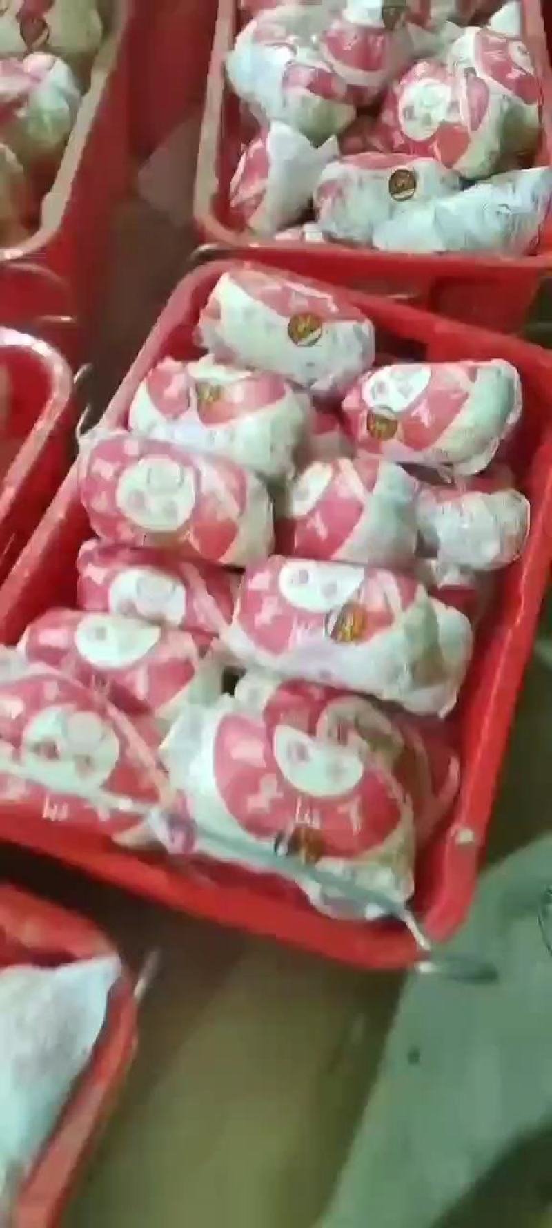 娃娃菜，小娃娃菜毛菜净菜都有，宜城娃娃菜，专业娃娃菜
