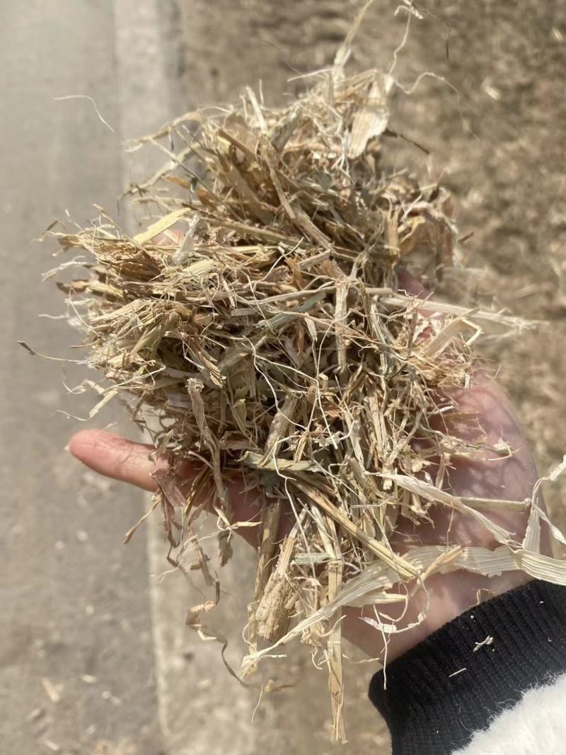 精品玉米秸秆牛羊驴马饲料，厂家精品货，大量出售