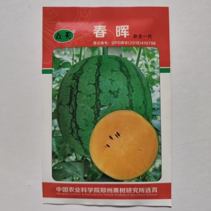 满月礼品西瓜品种花皮红瓤品种种子早熟品种