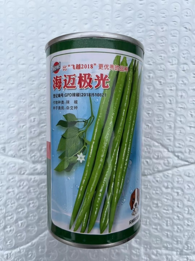 海迈极光线椒种子早熟顿尖型软皮线椒品种杂交一代品种种子