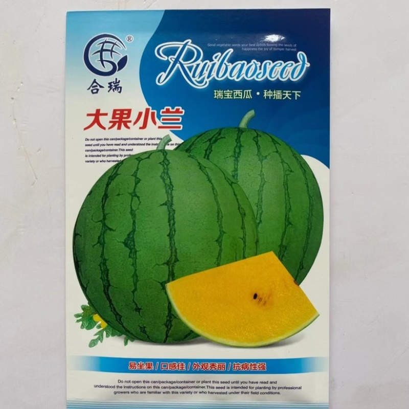 大果小兰礼品西瓜种子花皮黄瓤，早熟品种种子