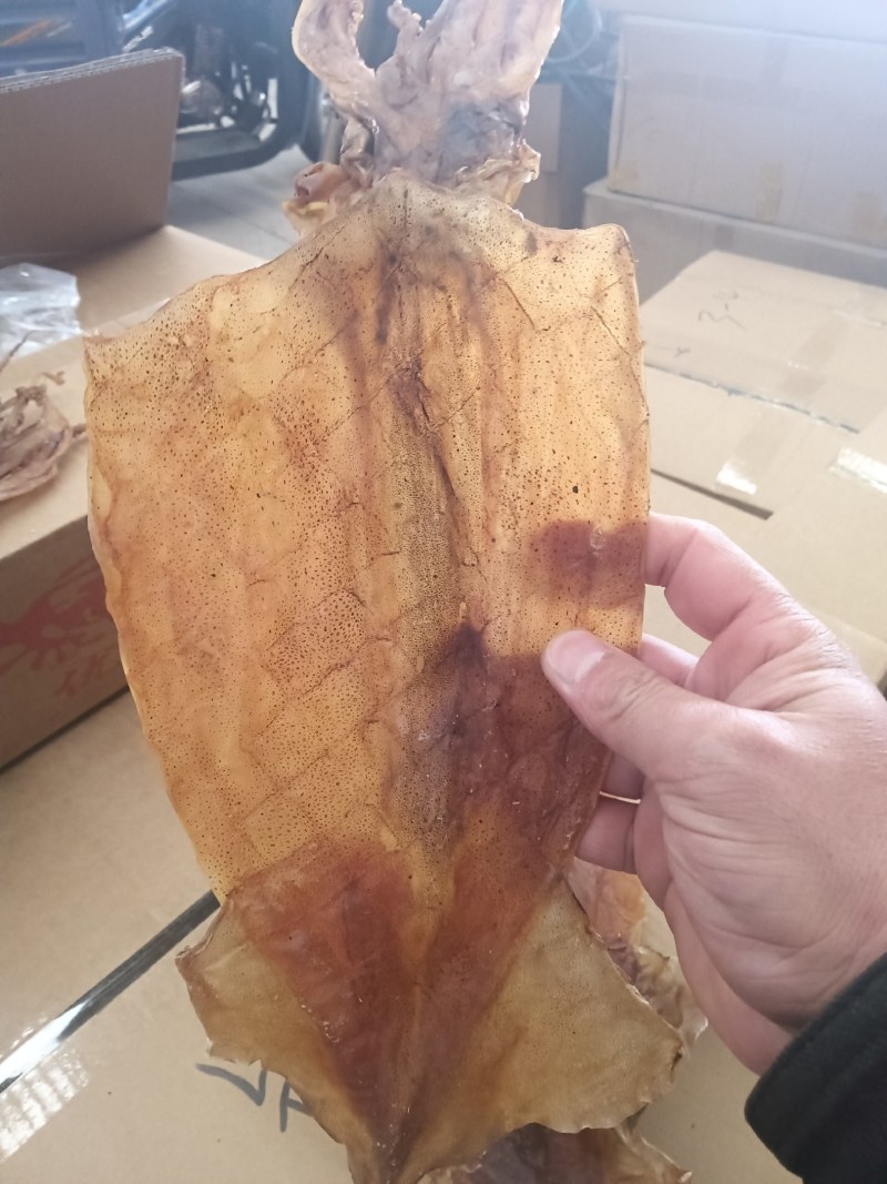 阿根廷鱿鱼！烧烤鱿鱼！可水发！淡干！一斤10头左右！
