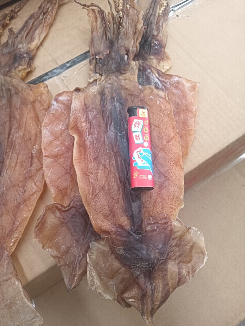 阿根廷鱿鱼！烧烤鱿鱼！可水发！淡干！一斤10头左右！