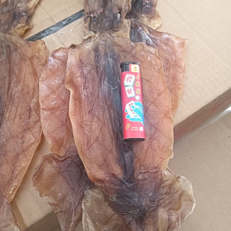 阿根廷鱿鱼！烧烤鱿鱼！可水发！淡干！一斤10头左右！