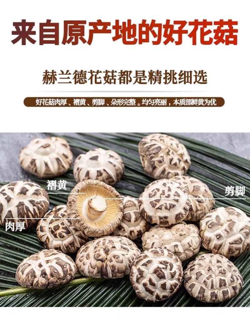 小花菇珍珠白花菇卢氏花菇中的天花板肉厚形圆口感Q弹包邮。