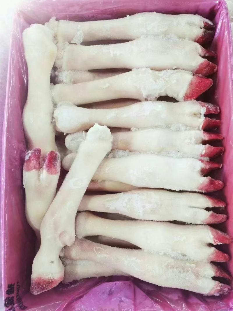 精品羊蹄无水无冰净重二十斤加工厂直销