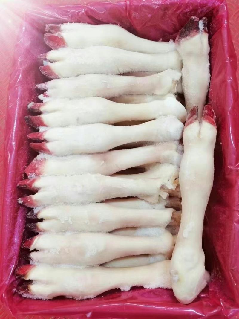 精品羊蹄无水无冰净重二十斤加工厂直销