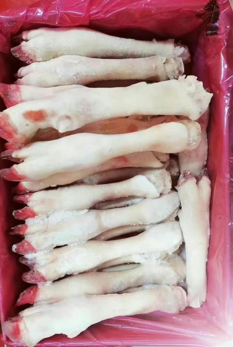 精品羊蹄无水无冰净重二十斤加工厂直销