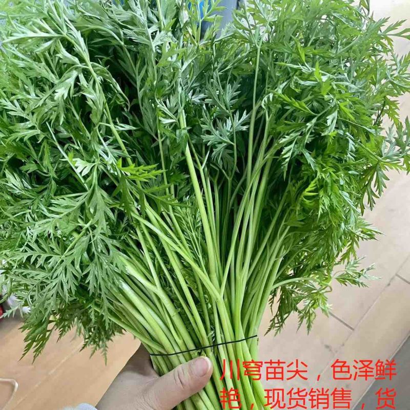 川芎叶