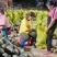 湛江香芋南瓜基地现货现发量大从优产地直供欢迎电联采购！