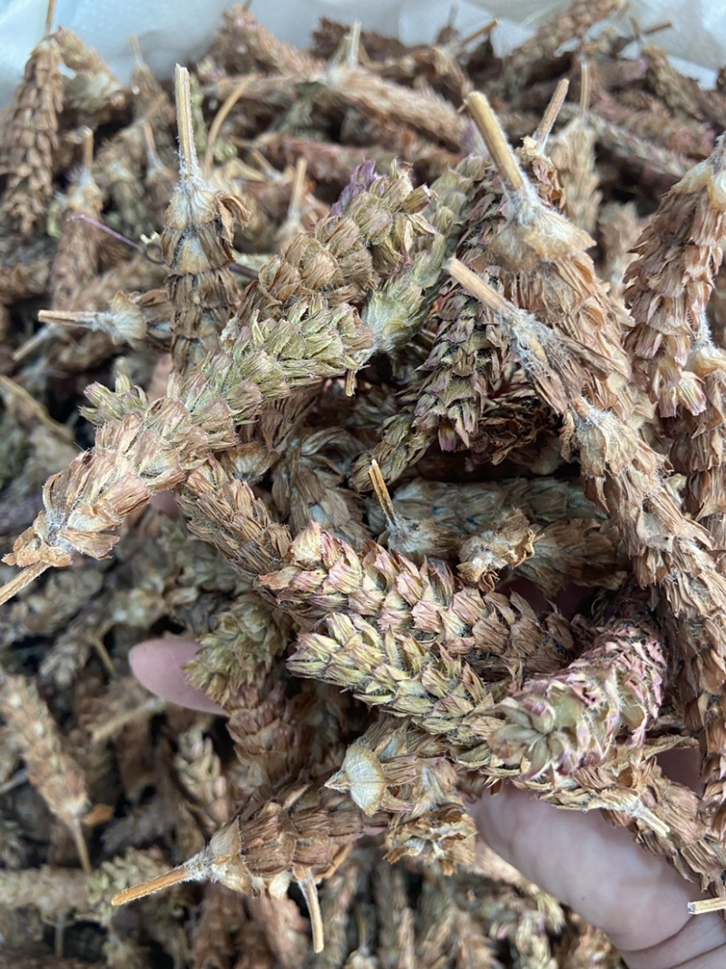 夏枯球天然纯新货中药材无硫夏枯草夏枯草茶夏枯草干