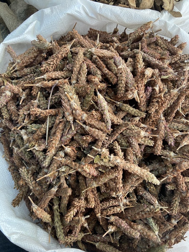 夏枯球天然纯新货中药材无硫夏枯草夏枯草茶夏枯草干