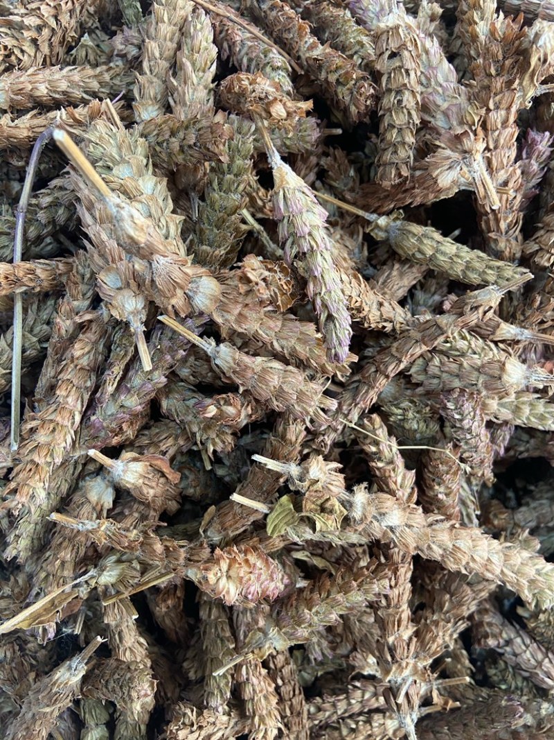 夏枯球天然纯新货中药材无硫夏枯草夏枯草茶夏枯草干