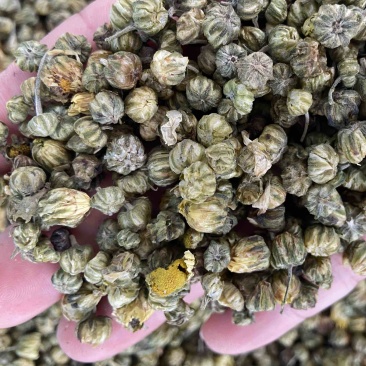 菊花茶胎菊米野生桐乡杭白菊胎菊花茶无硫菊花胎米