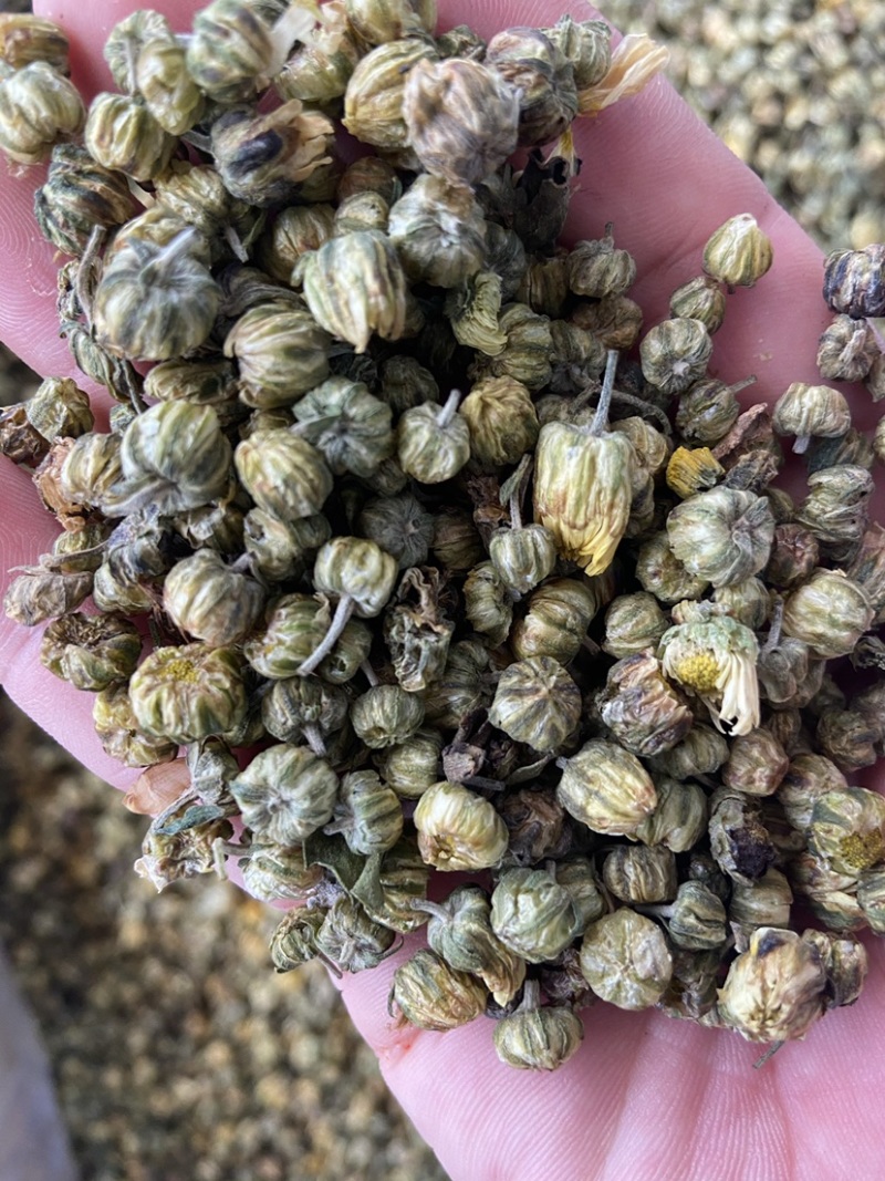 菊花茶胎菊米野生桐乡杭白菊胎菊花茶无硫菊花胎米