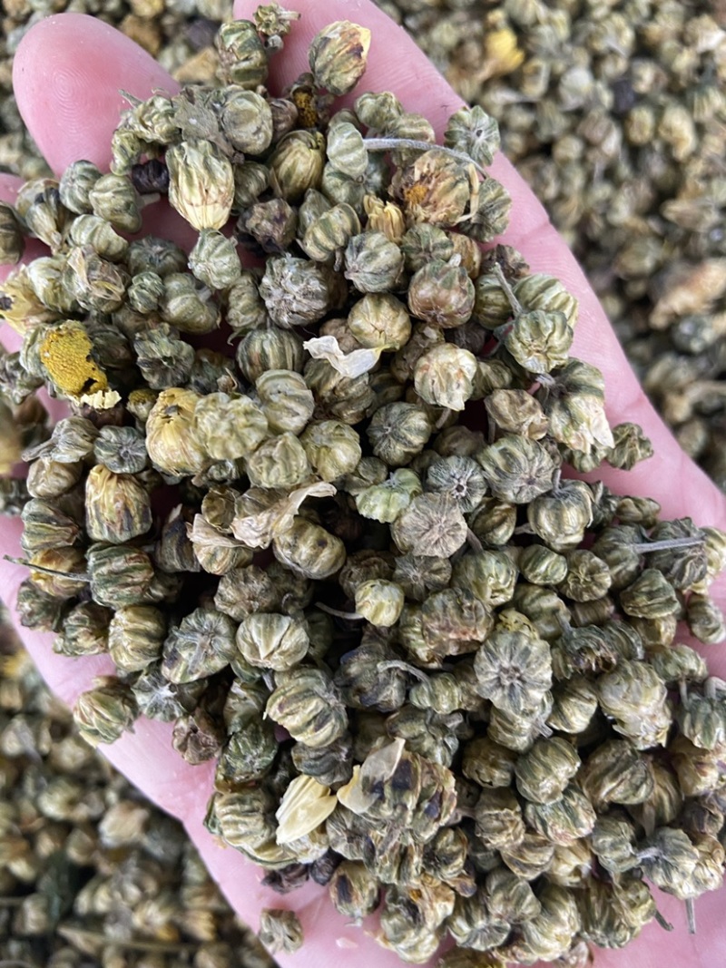 菊花茶胎菊米野生桐乡杭白菊胎菊花茶无硫菊花胎米