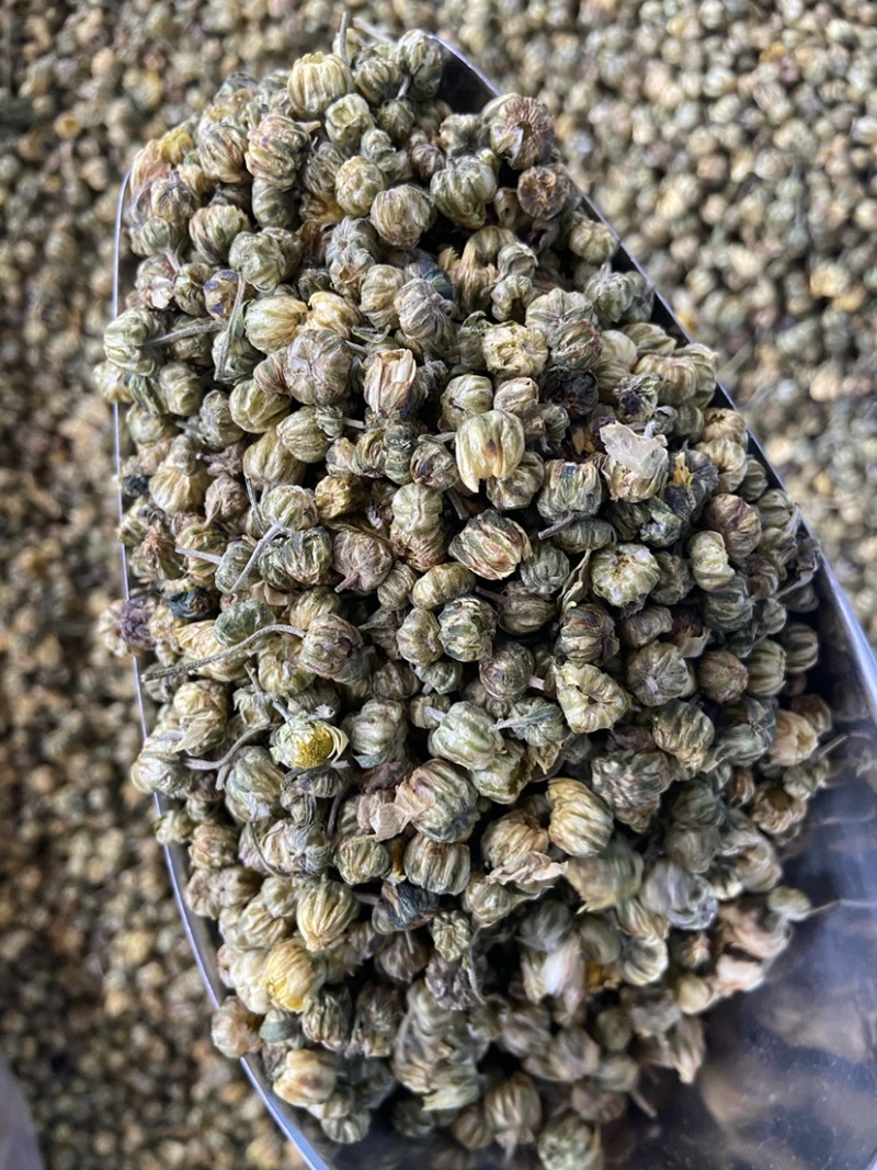 菊花茶胎菊米野生桐乡杭白菊胎菊花茶无硫菊花胎米