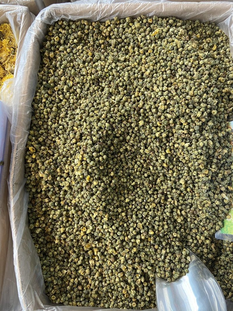 菊花茶胎菊米野生桐乡杭白菊胎菊花茶无硫菊花胎米