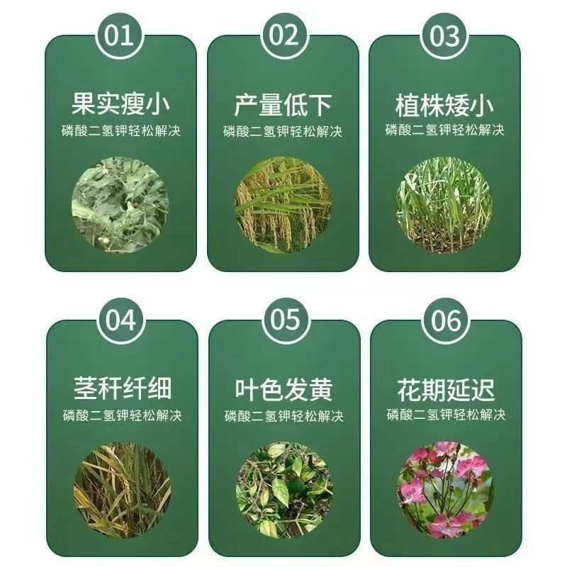 磷酸二铵全水溶复合肥植物叶面肥花卉通用肥料农作物底肥晶体