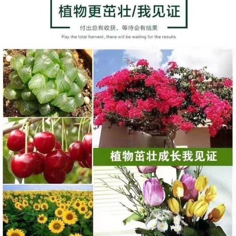磷酸二铵全水溶复合肥植物叶面肥花卉通用肥料农作物底肥晶体