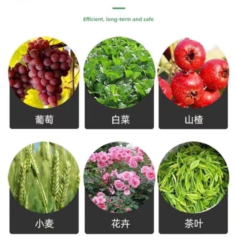 磷酸二铵全水溶复合肥植物叶面肥花卉通用肥料农作物底肥晶体